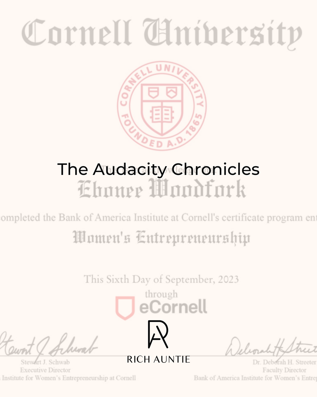 The Audacity Chronicles