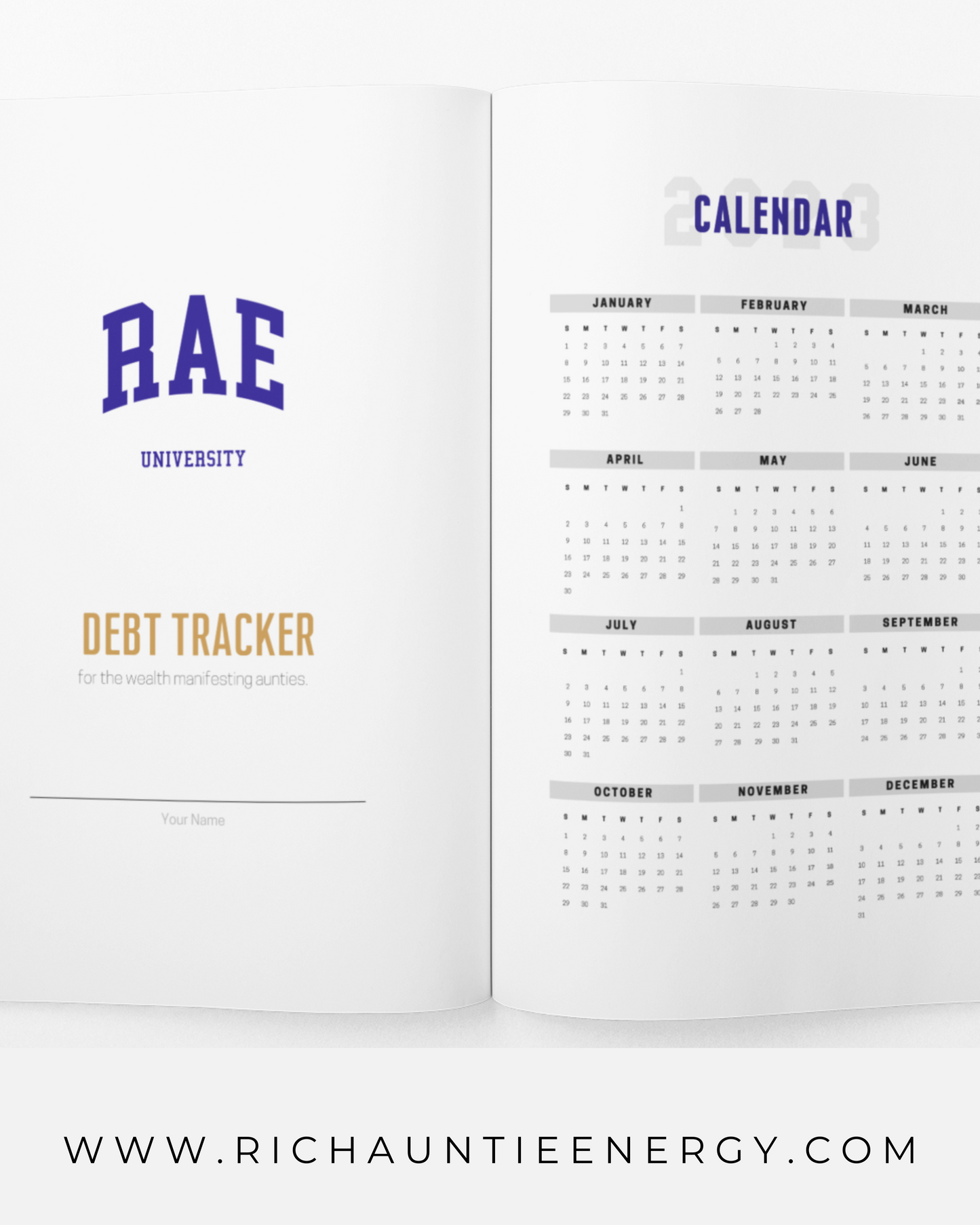 RAE University Debt Tracker